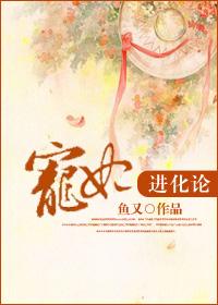 宠妃晋升札记