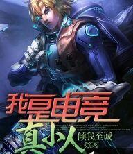 我是电竞女主播作者 折小仙
