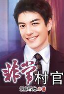 非常村官全文免费阅读
