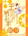 王爷宠妻要翻天