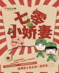农家内掌柜完整版