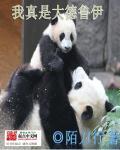 我就是大德鲁伊女主角
