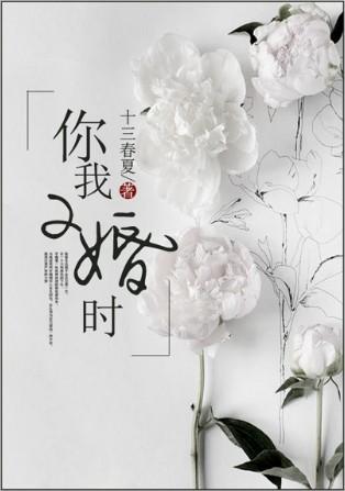 我的二婚时候