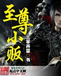 至尊小宝全部作品