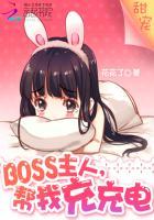 boss主人请帮我充充电