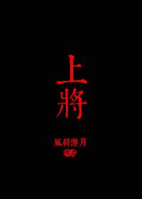 上将的密码软件