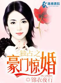 独占之豪门惊婚 锦衣夜行