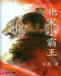 小霸王惨祸