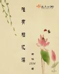 夺嫡结局