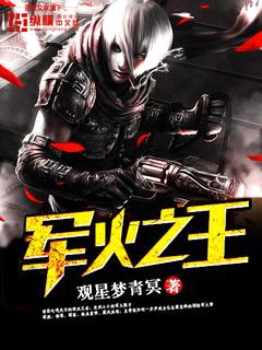军火之王观星梦青冥