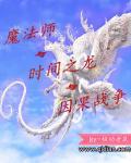 魔法师与龙by淮翼百度盘