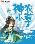 神农草本药膏说明书