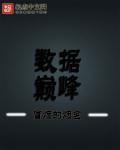 数据之巅免费